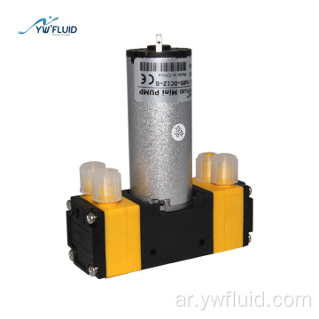 مضخة المياه الكهربائية مزدوجة البخاخات Mini Pumpragm Pump